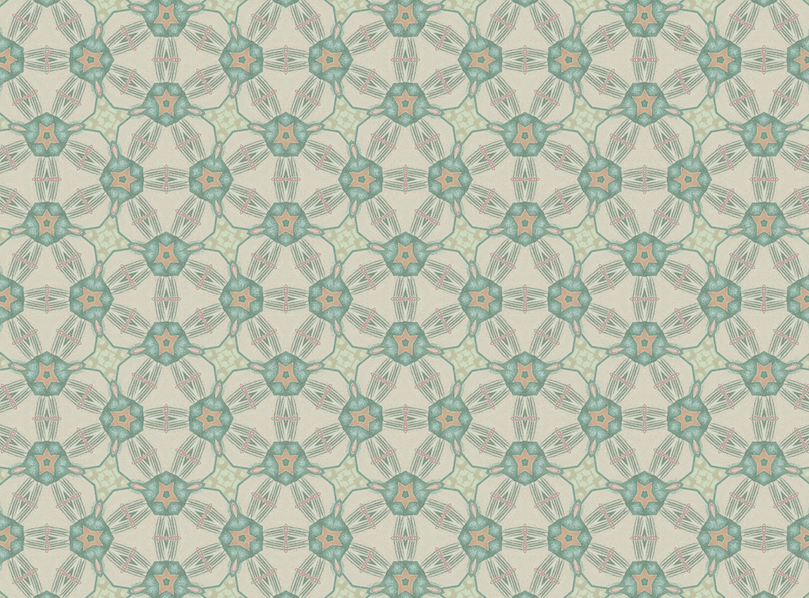 One-Piece Swimsuit: Fenoranon